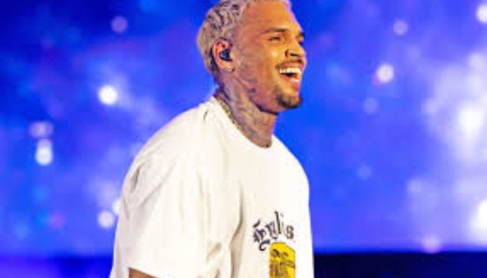 Chris Brown 2024 Net Worth- How Much Has His Music Empire Grown?