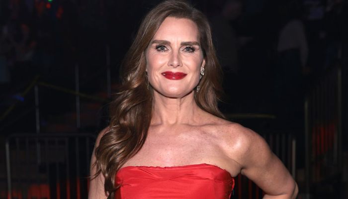 Brooke Shields' Net Worth Skyrockets by 550% in 2024- Find Out How!